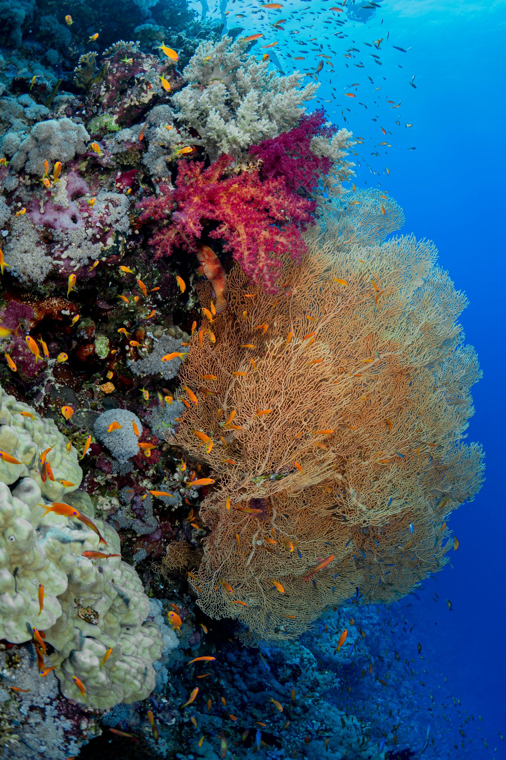 hurghada